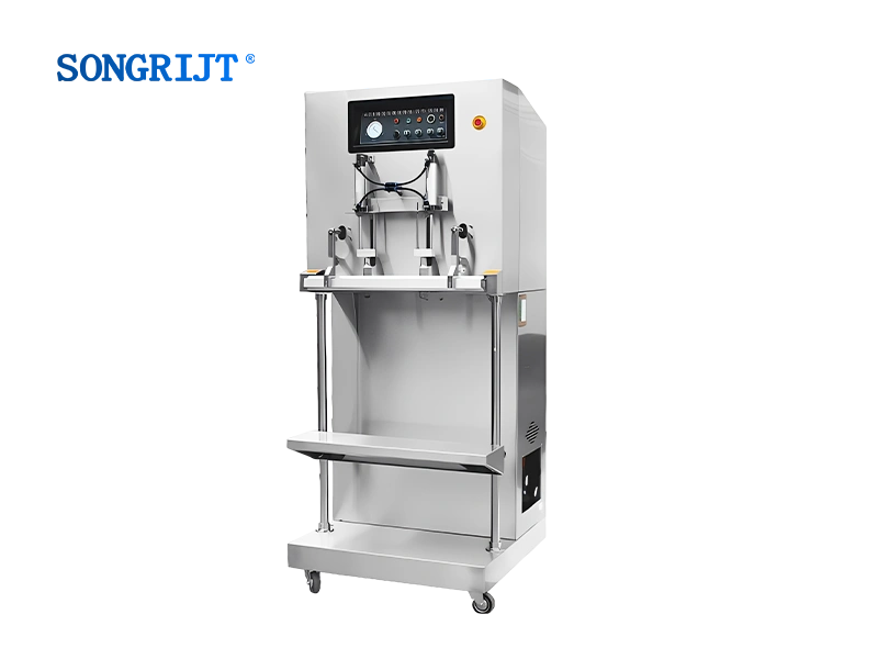 Vertical External Vacuum Packaging Machine for Industrial Use