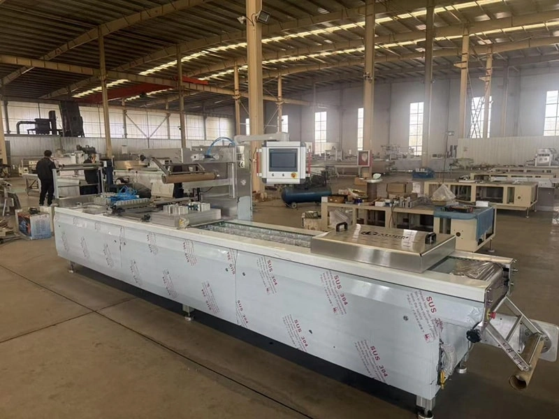 Songri Machinery Secures Order for Stretch Film Vacuum Packaging Machines from Russian Client, Bolstering Overseas Production Expansion
